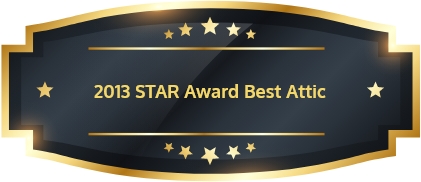 2013 STAR Award Best Attic