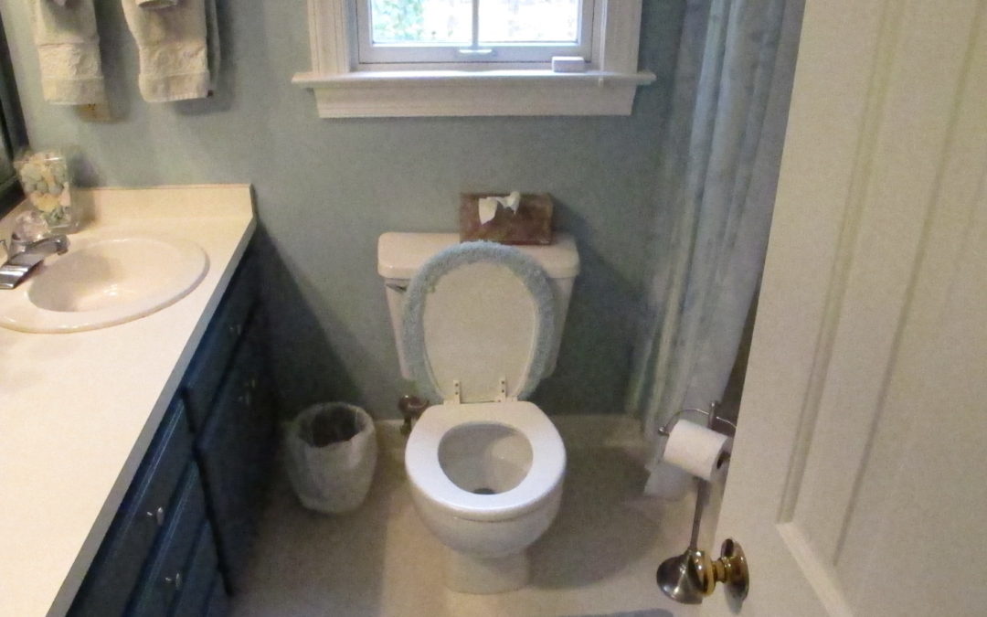 Accessible Bathroom With Universal Design