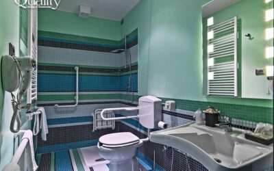 Bathroom Remodel for Seniors: Safety, Comfort & Accessibility